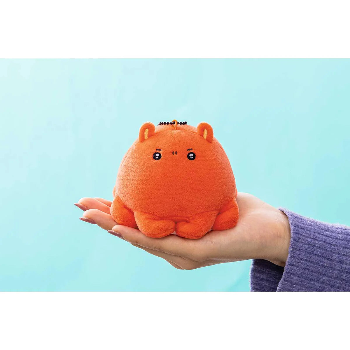 Nagano | Nagano Characters | Nagano Aquarium Mascot Holder (Mendako)