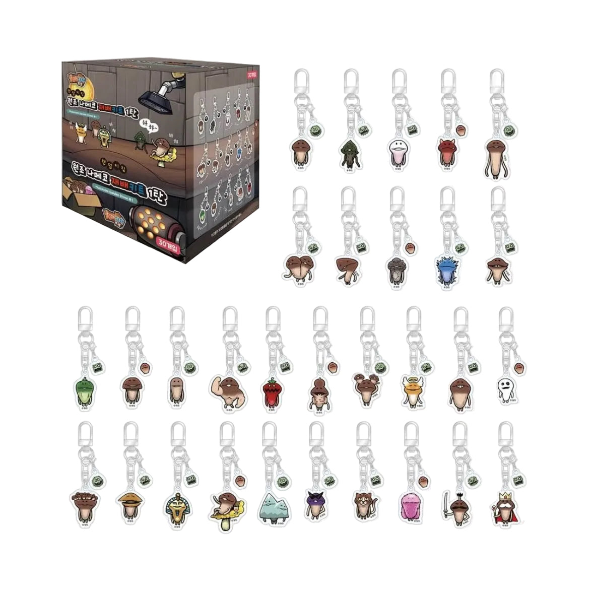 Funghi Paradise Korea | Mushroom Garden Funghi Acrylic Key Charm Blind Box (30 Types)
