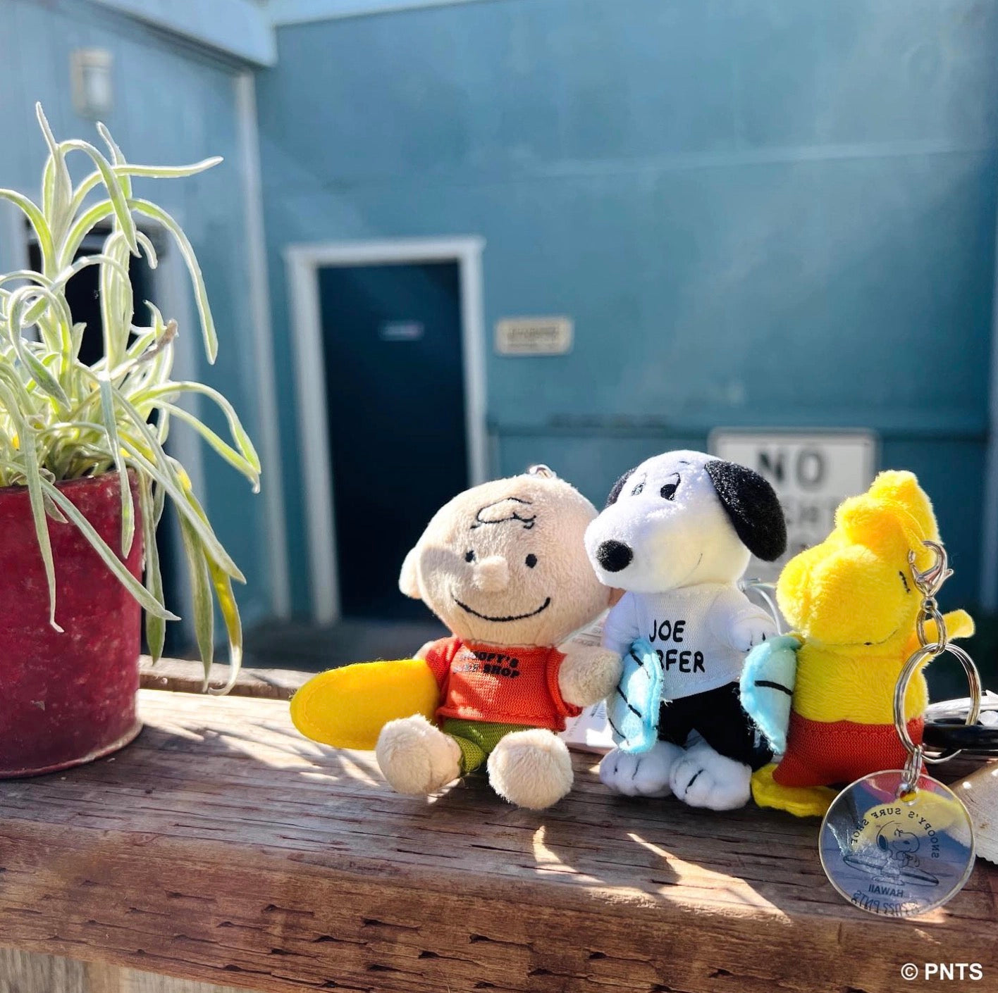 PEANUTS | SNOOPY'S SURF SHOP | Surf Mascot Snap Ring With Carabiner - FRANKLIN