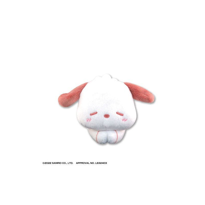 Sanrio | Plushes Hug Chara Collection Box Characters Vol.3 Blind Box