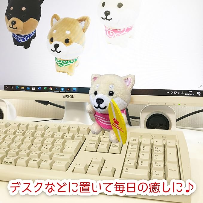 Tabisuru Mameshiba | Shiba Inu Travelling Series 11 Mascot Ball Chain - Surf White