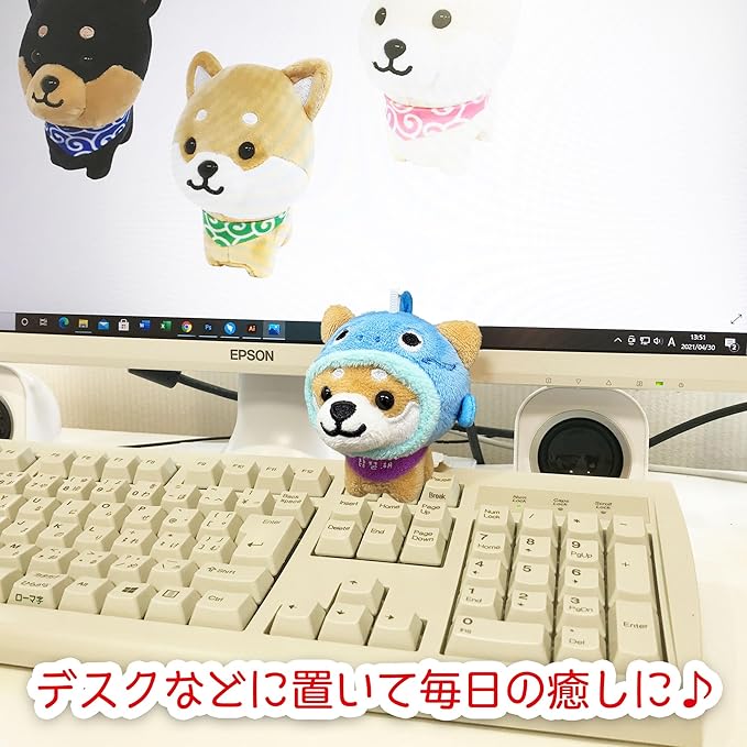 Tabisuru Mameshiba | Shiba Inu Travelling Series 9 Mascot Ball Chain - Lake Biwa Nakashi