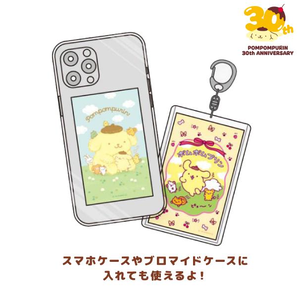Sanrio | Sanrio Characters Pompompurin 30th Anniversary Secret Smaroid Blind Box
