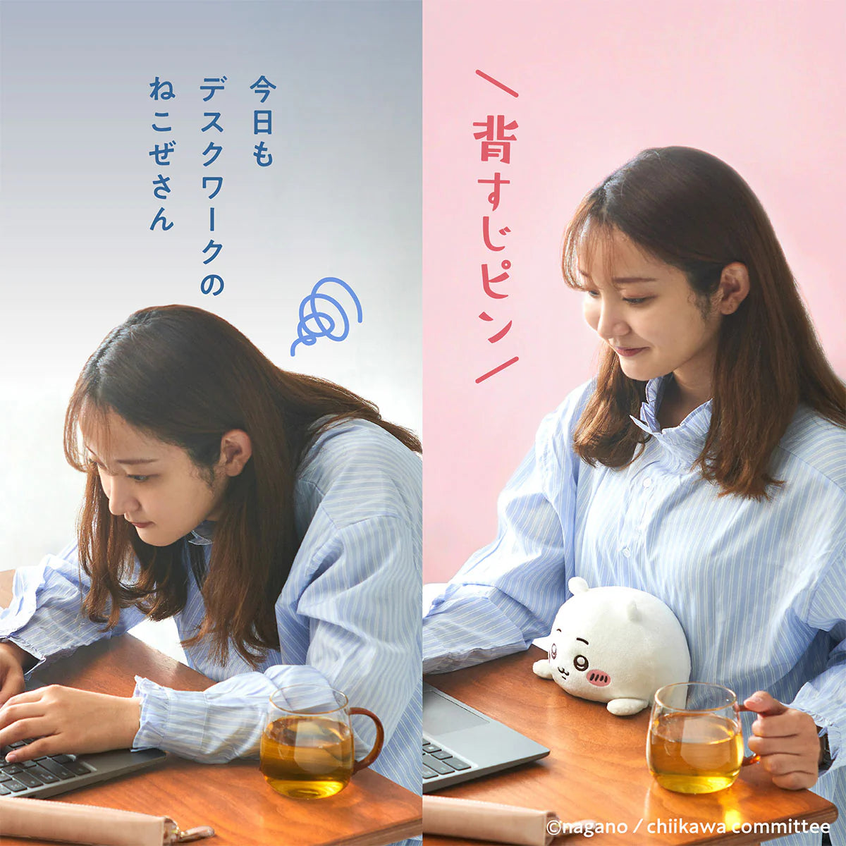 Chiikawa | Chiikawa Funbaruzu - Hachiware