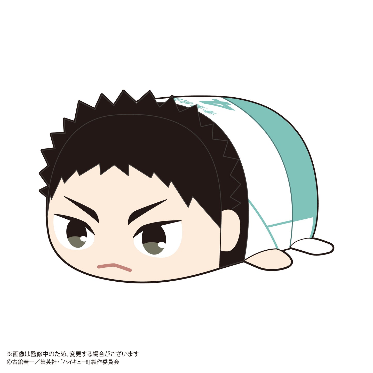 Haikyu!! | HQ-73 Haikyu!! Potekoro Mascot Blind Box [1 Box 6Pcs]