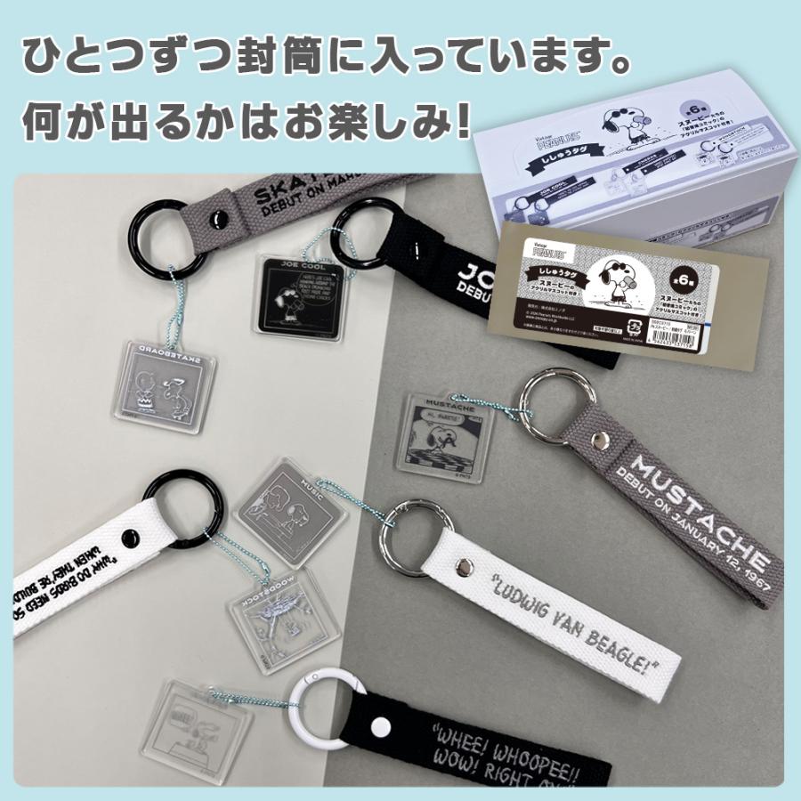 PEANUTS | Snoopy Monotone Embroidered Tag Keychain Blind Box