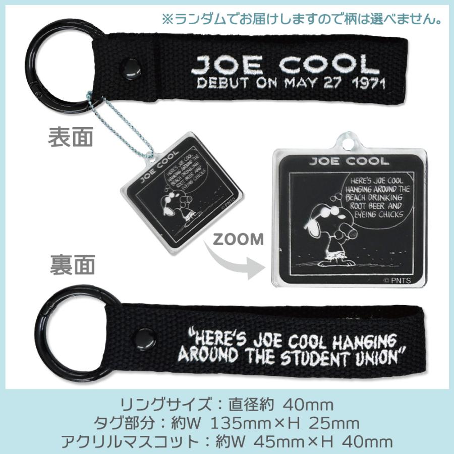 PEANUTS | Snoopy Monotone Embroidered Tag Keychain Blind Box