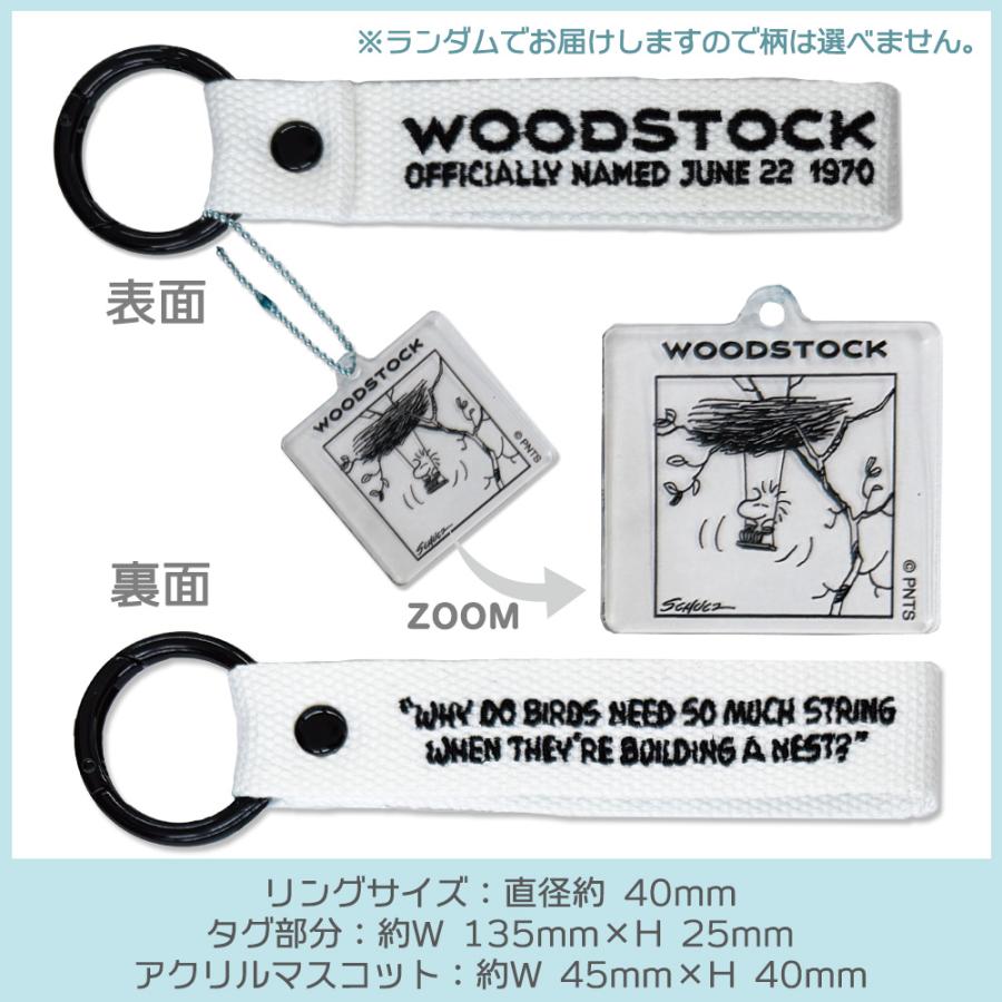 PEANUTS | Snoopy Monotone Embroidered Tag Keychain Blind Box