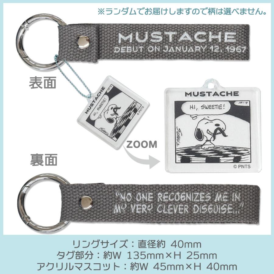 PEANUTS | Snoopy Monotone Embroidered Tag Keychain Blind Box