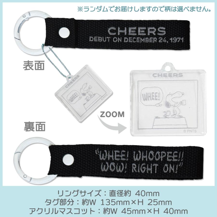 PEANUTS | Snoopy Monotone Embroidered Tag Keychain Blind Box
