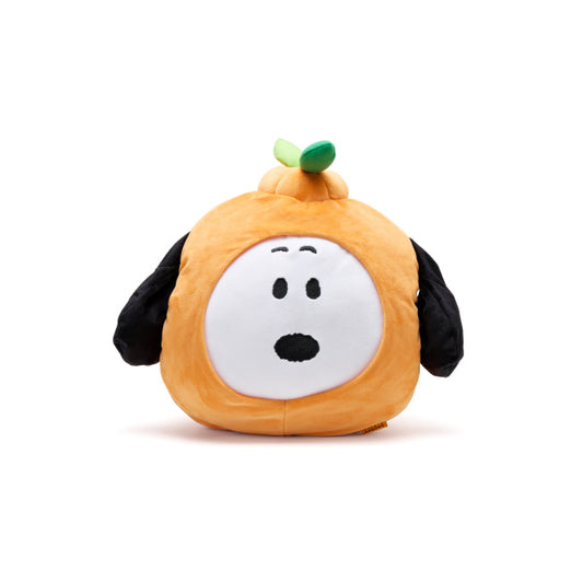 PEANUTS | SNOOPY GARDEN Korea | Snoopy Hug Doll - Hallabong